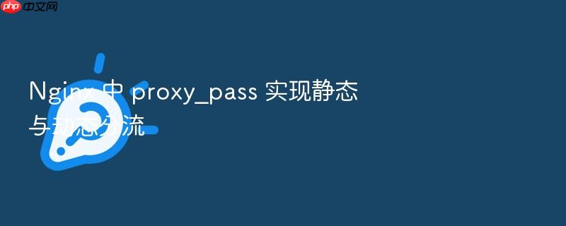nginx 中 proxy_pass 实现静态与动态分流