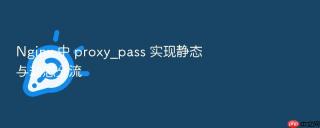 Nginx 中 proxy_pass 实现静态与动态分流