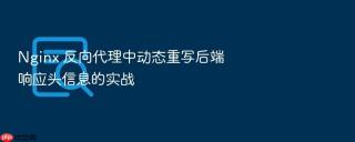 nginx 反向代理中动态重写后端响应头信息的实战