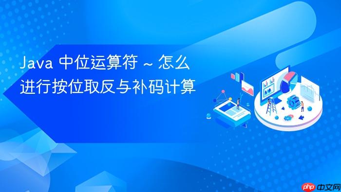 java 中位运算符 ~ 怎么进行按位取反与补码计算