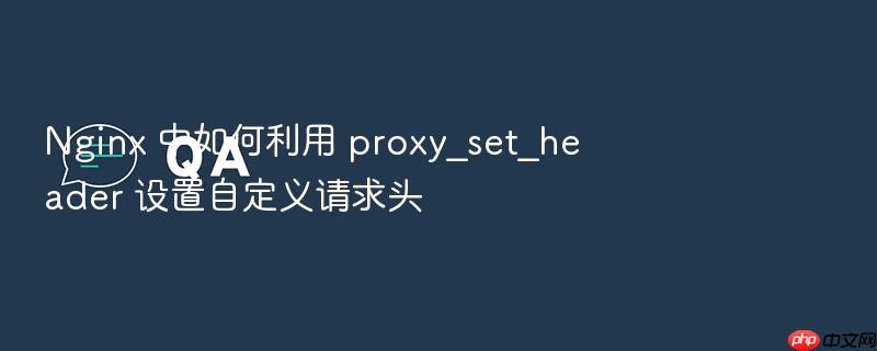 nginx 中如何利用 proxy_set_header 设置自定义请求头