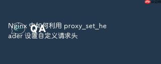 Nginx 中如何利用 proxy_set_header 设置自定义请求头