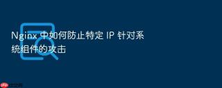 Nginx 中如何防止特定 IP 针对系统组件的攻击