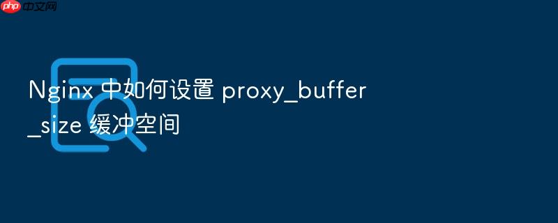 nginx 中如何设置 proxy_buffer_size 缓冲空间