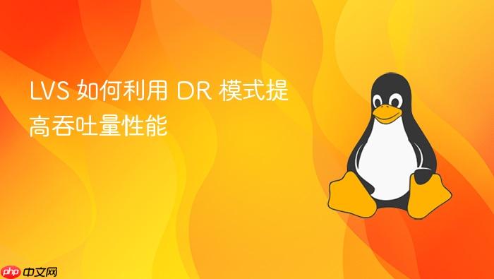 lvs 如何利用 dr 模式提高吞吐量性能