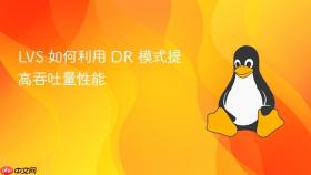 lvs 如何利用 dr 模式提高吞吐量性能