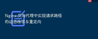 Nginx 反向代理中实现请求路径的动态改写与重定向