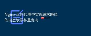 nginx 反向代理中实现请求路径的动态改写与重定向