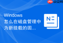 Windows 怎么在磁盘管理中为新挂载的固态硬盘进行对齐初始化