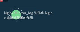 Nginx 中 error_log 对优化 Nginx 连接池配置的作用