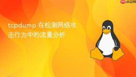 tcpdump 在检测网络攻击行为中的流量分析