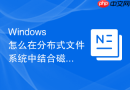Windows 怎么在分布式文件系统中结合磁盘配额控制节点同步数据量