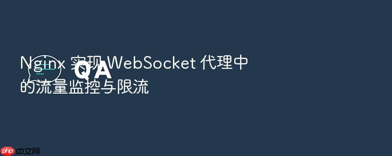 nginx 实现 websocket 代理中的流量监控与限流