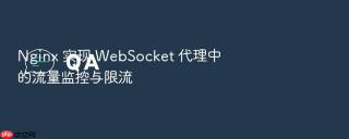 nginx 实现 websocket 代理中的流量监控与限流