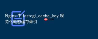 Nginx 中 fastcgi_cache_key 规范化动态缓存索引