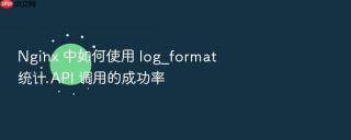 Nginx 中如何使用 log_format 统计 API 调用的成功率
