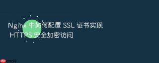 nginx 中如何配置 ssl 证书实现 https 安全加密访问