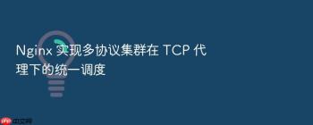 Nginx 实现多协议集群在 TCP 代理下的统一调度