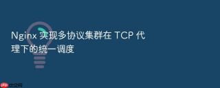nginx 实现多协议集群在 tcp 代理下的统一调度