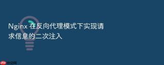 Nginx 在反向代理模式下实现请求信息的二次注入