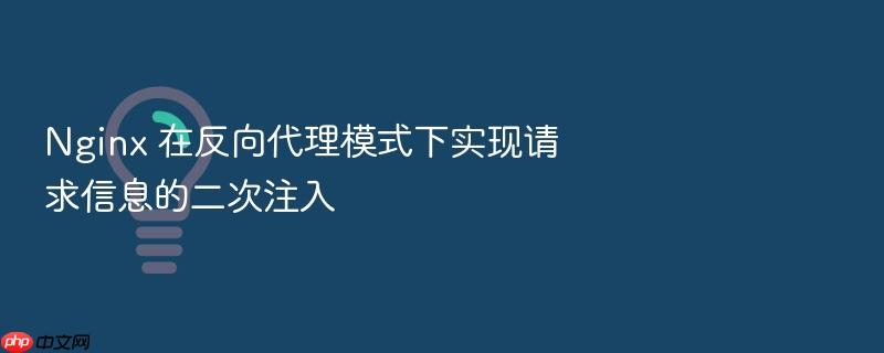 nginx 在反向代理模式下实现请求信息的二次注入