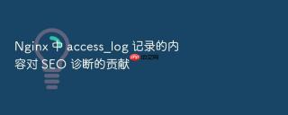 nginx 中 access_log 记录的内容对 seo 诊断的贡献