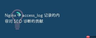 Nginx 中 access_log 记录的内容对 SEO 诊断的贡献