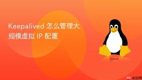 keepalived 怎么管理大规模虚拟 ip 配置