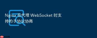nginx 在代理 websocket 时支持的子协议协商