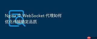 Nginx 中 WebSocket 代理如何优化传输稳定品质