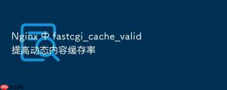 Nginx 中 fastcgi_cache_valid 提高动态内容缓存率