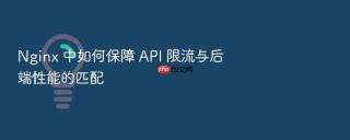 nginx 中如何保障 api 限流与后端性能的匹配