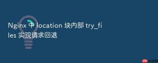 Nginx 中 location 块内部 try_files 实现请求回退