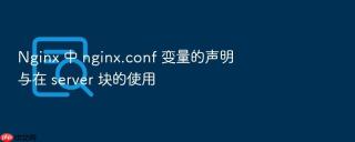 nginx 中 nginx.conf 变量的声明与在 server 块的使用