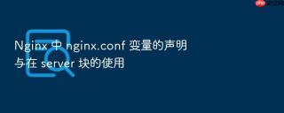 Nginx 中 nginx.conf 变量的声明与在 server 块的使用