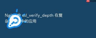 nginx 中 ssl_verify_depth 在复杂证书链中的应用