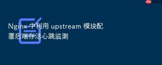 Nginx 中利用 upstream 模块配置后端存活心跳监测