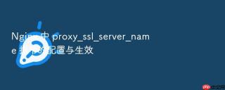 Nginx 中 proxy_ssl_server_name 指令的配置与生效