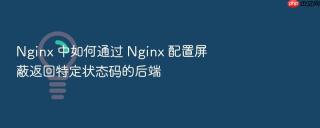 nginx 中如何通过 nginx 配置屏蔽返回特定状态码的后端