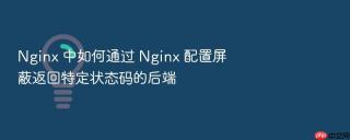 Nginx 中如何通过 Nginx 配置屏蔽返回特定状态码的后端