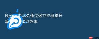 nginx 中怎么通过缓存校验提升静态资源读取效率