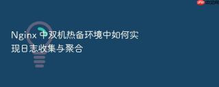 nginx 中双机热备环境中如何实现日志收集与聚合