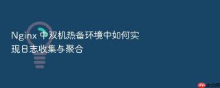 Nginx 中双机热备环境中如何实现日志收集与聚合