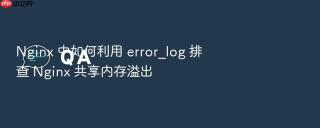 Nginx 中如何利用 error_log 排查 Nginx 共享内存溢出