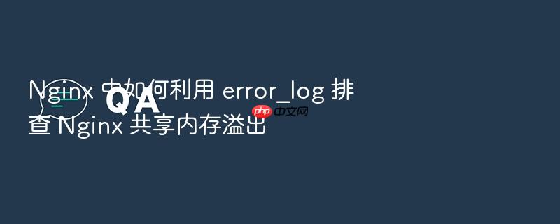 nginx 中如何利用 error_log 排查 nginx 共享内存溢出