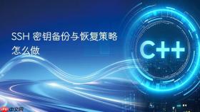 ssh 密钥备份与恢复策略怎么做