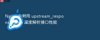 Nginx 中利用 upstream_response_time 深度解析接口性能