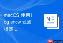 macOS 使用 log show 过滤指定类别的系统性能日志