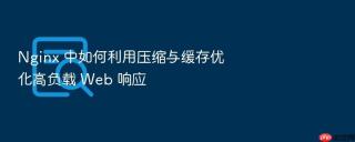 Nginx 中如何利用压缩与缓存优化高负载 Web 响应