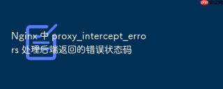 Nginx 中 proxy_intercept_errors 处理后端返回的错误状态码